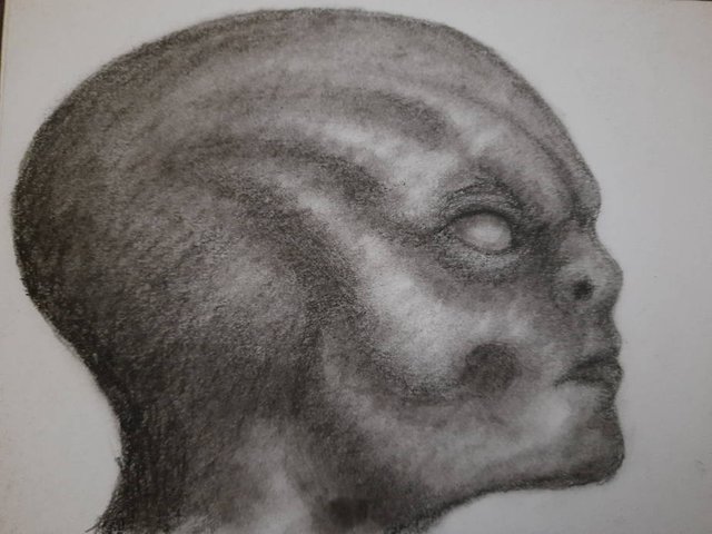 20250722_105232.jpg