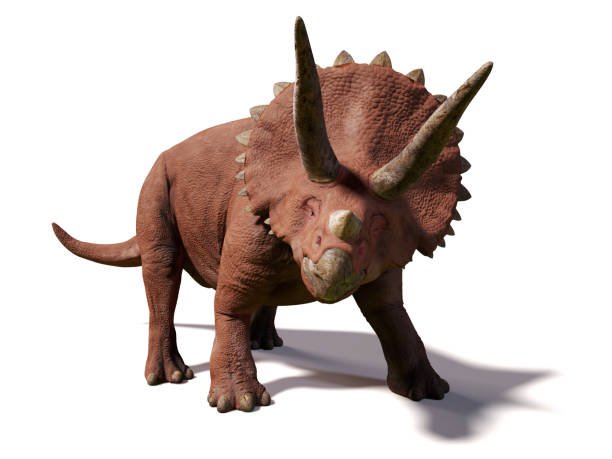 triceratops.jpg