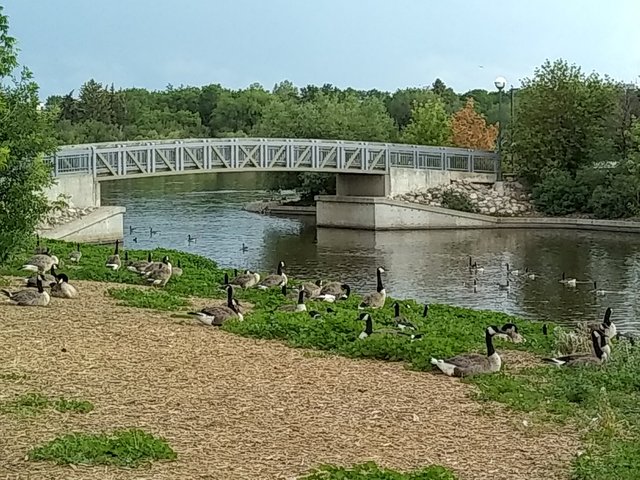 Regina Wascana Park e.jpg