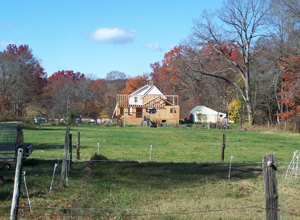 Middle pasture and addition crop November 2019.jpg