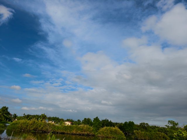 IMG_20250317_082021 (1).jpg