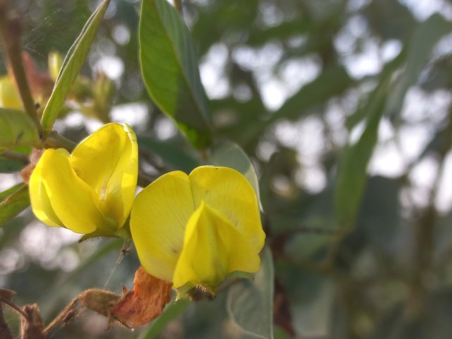 20230120_155210.jpg