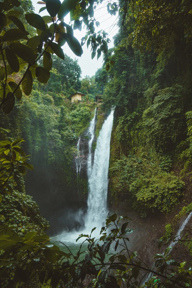 landscape-photography-of-waterfalls-surrounded-by-green-931007.jpg