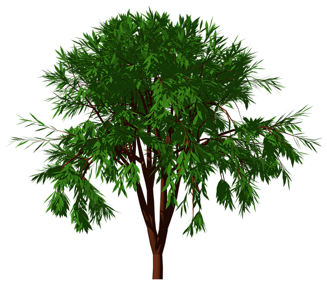 tree-3105759_640.png
