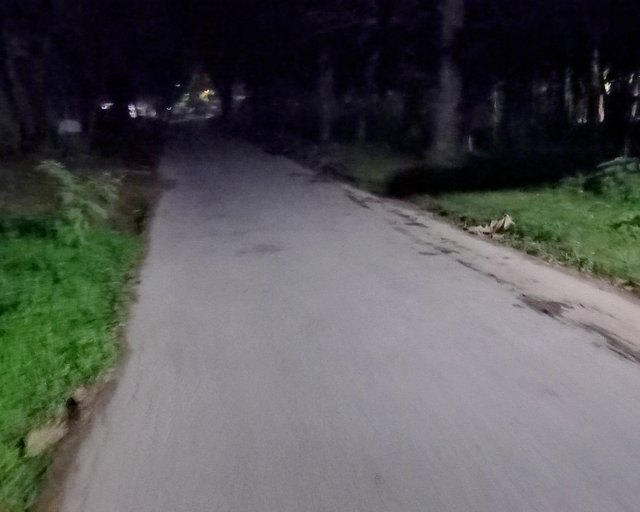 20241018_180556~2.jpg