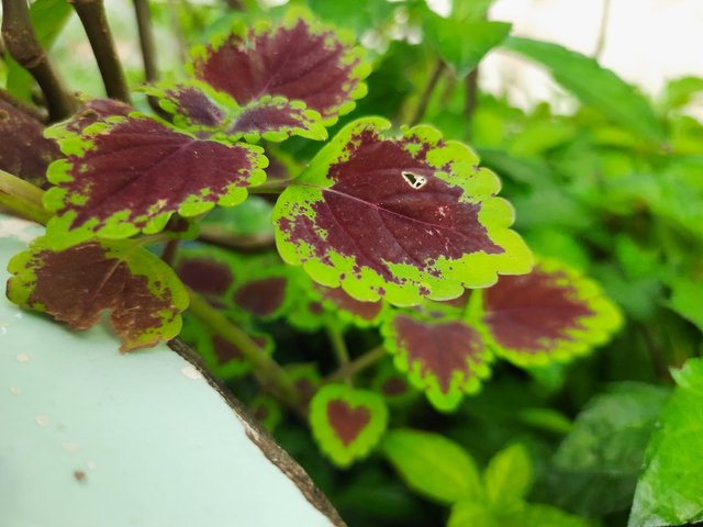 20210907_163728.jpg