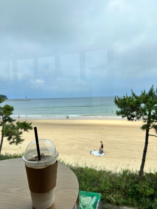 IMG_8230.jpeg