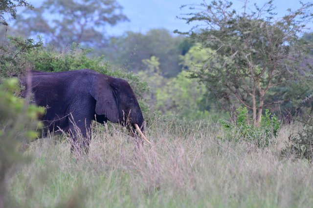 DSC_2863.jpg