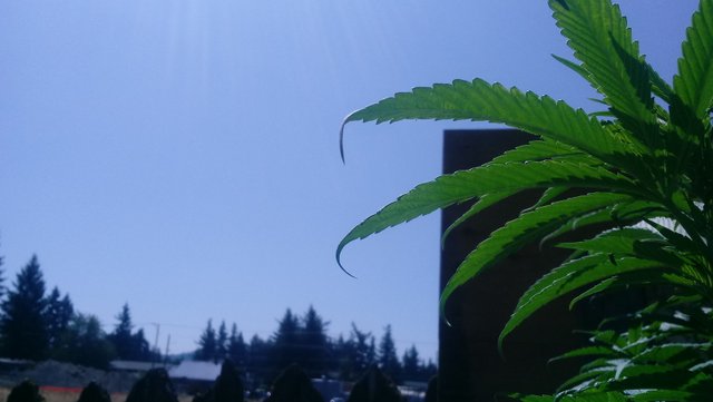 20190804_115537.jpg