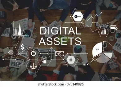 digital-assets-business-management-system-260nw-375140896.jpg