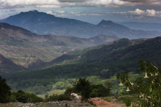 blue mountains at Letefoho, Timor-Leste.jpg