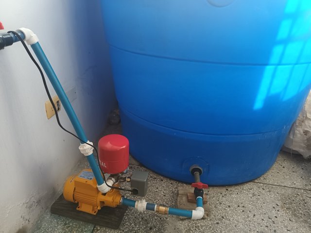 20250619_155840.jpg