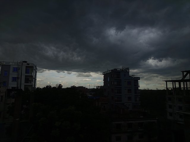 1000009711.jpg