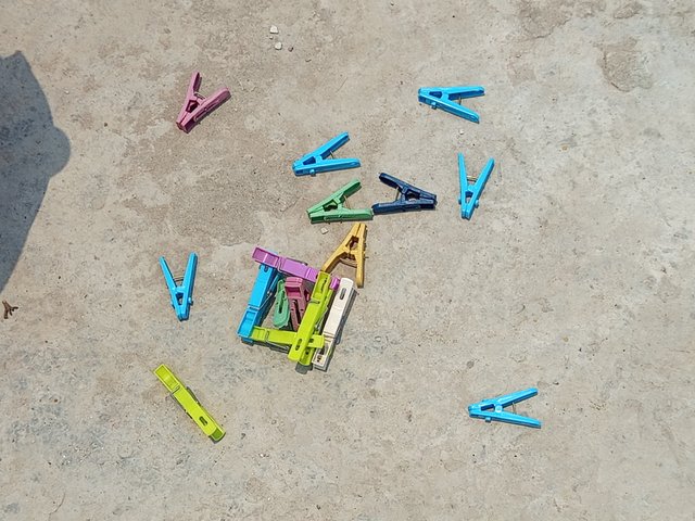 1000009367.jpg