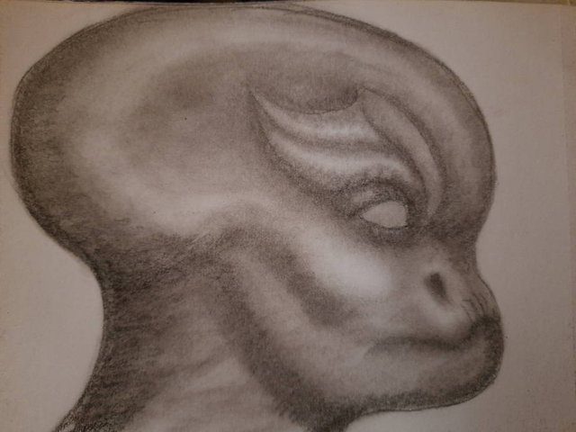20250926_104958.jpg