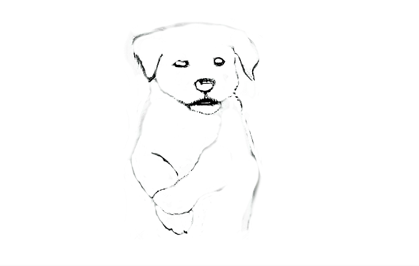 walking-dog-sketch-1.png