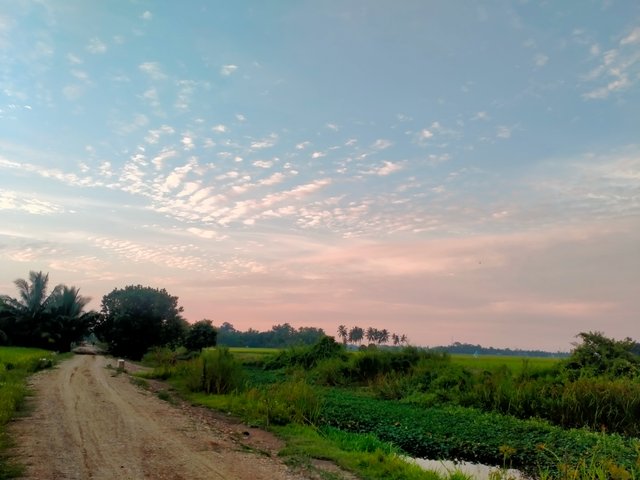 IMG20210917182059.jpg