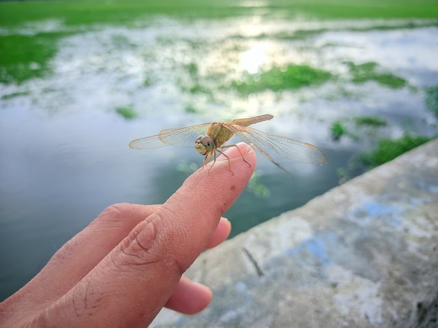 20250725_175029.jpg