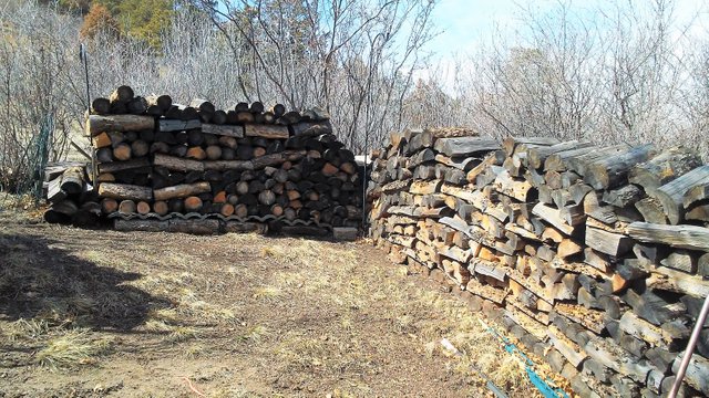 wood pile .jpg