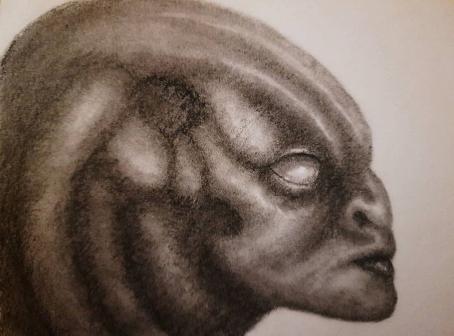 20250523_112337.jpg