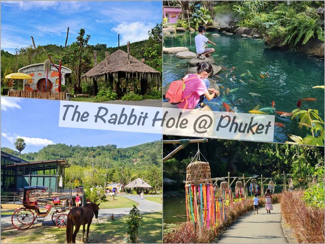 🐇 🌴 Nature, Animals, and Fun: Discovering The Rabbit Hole @ Phuket 🎏