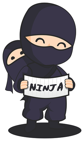 ninja-3106460__480.png