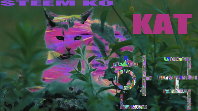 87 STEEM KR 2.png