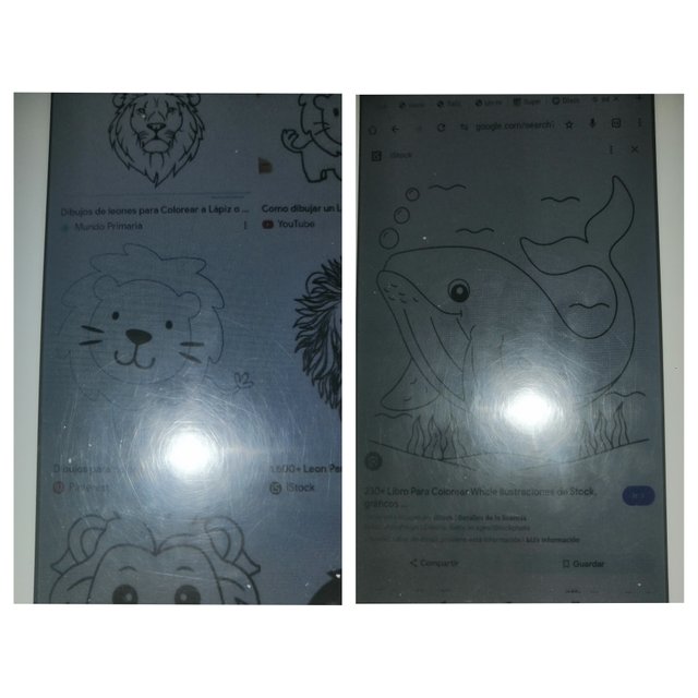 InCollage_20250429_074108086.jpg
