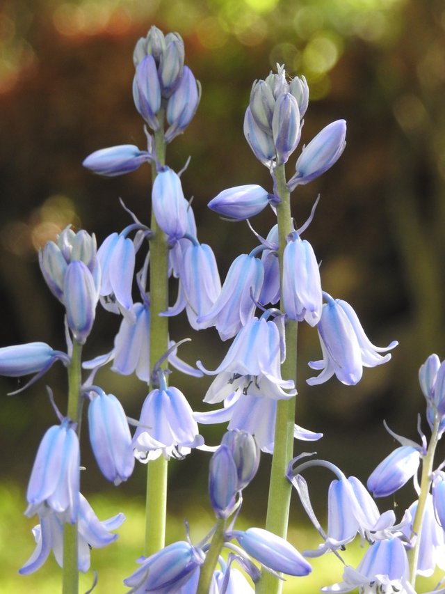 DSCN1510.JPG
