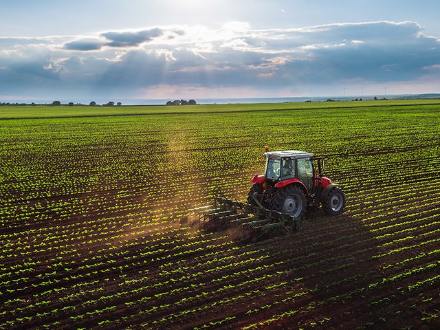 Mozambique Agriculture.jpg