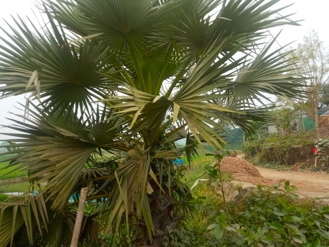 IMG_20250321_091307.jpg