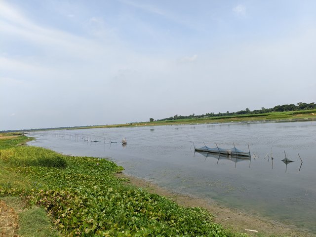 1000031407.jpg