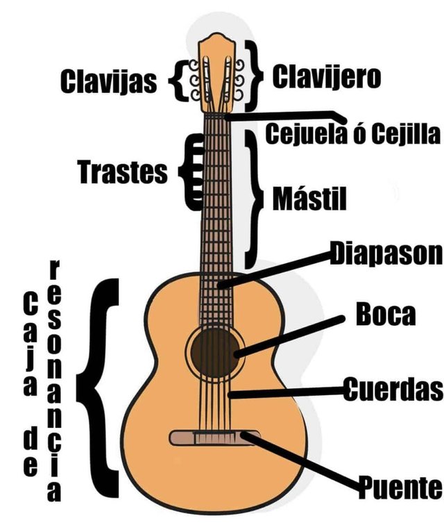 Class Music Instrumentos Musicales - Pregunta por los instrumentos  musicales infantiles y te los hacemos llegar a la puerta de tu casa ☺️🚛🎁  Que tu niño aprenda a interpretar un instrumento musical