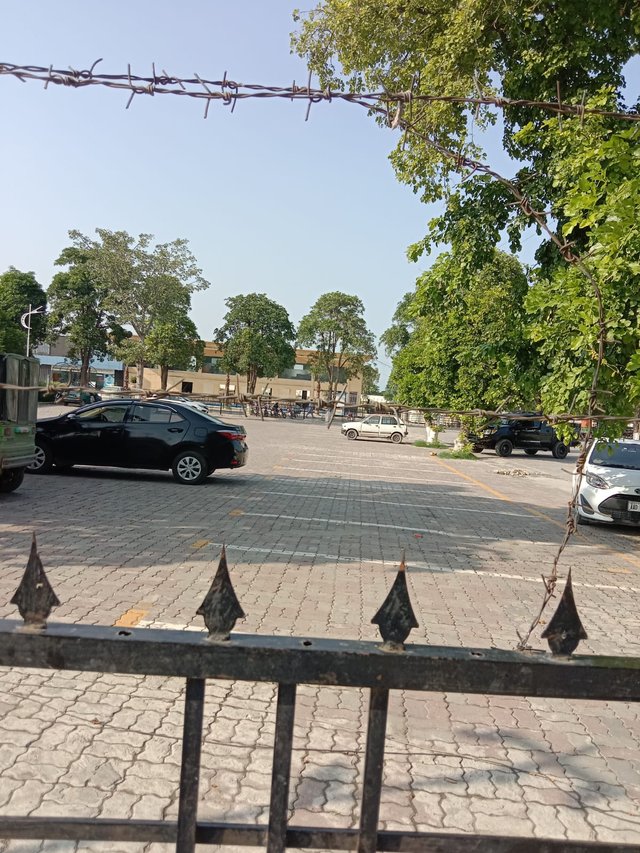 image (3).jpeg