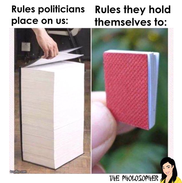 rules politicians put on us.jpg