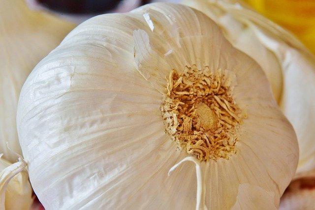 garlic-3617113_640.jpg