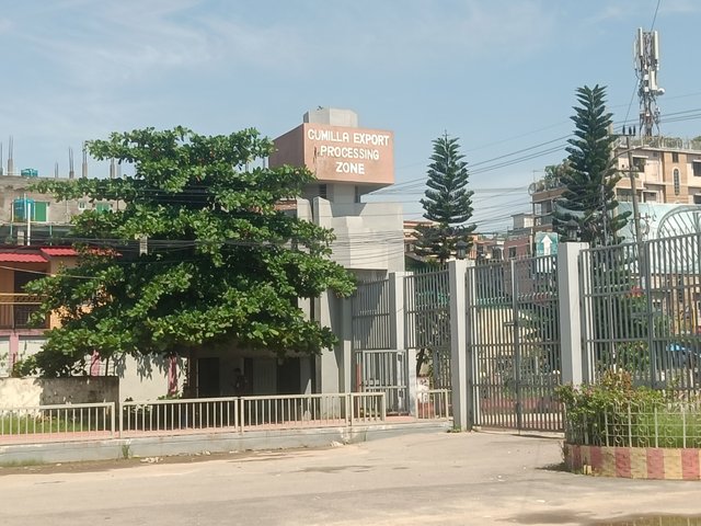 IMG20250611100534.jpg