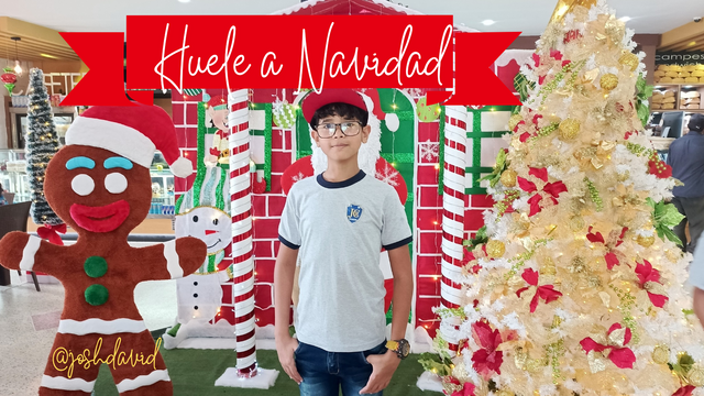 Huela a Navidady_20241109_195225_0000.png