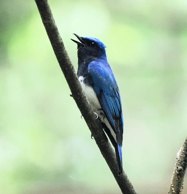 IMG_20250625_091348.jpg