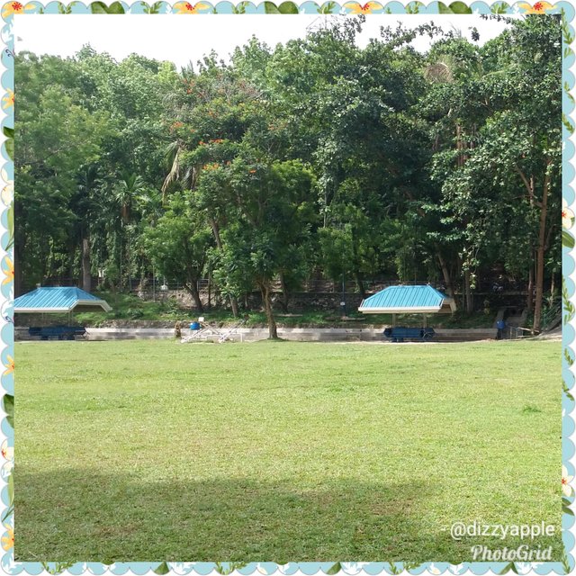 PhotoGrid_1529581105672.jpg