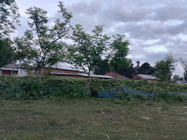 1000043524.jpg