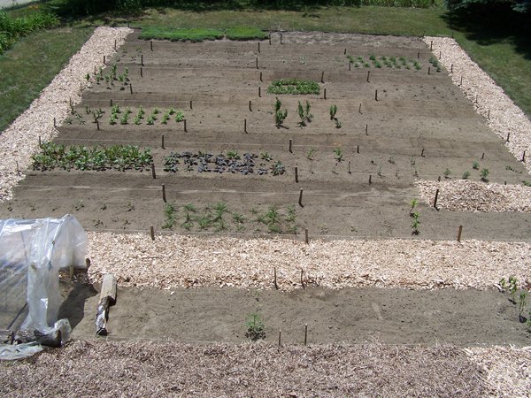 New Herb garden - half the walkways done crop June 2016.jpg