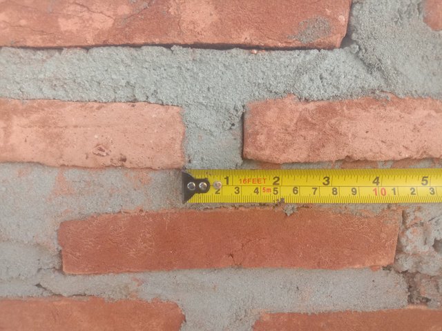 IMG_20240830_081016.jpg