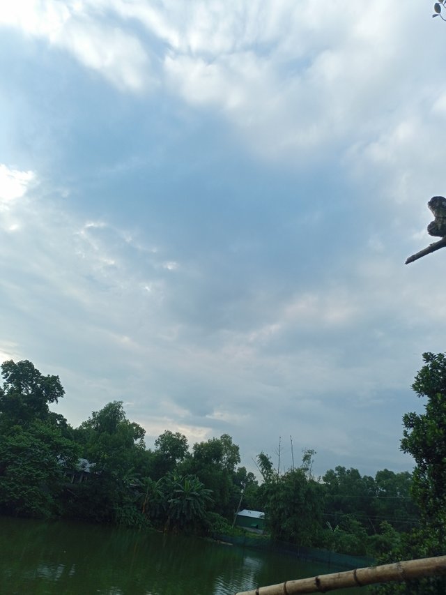 IMG20250822170547.jpg