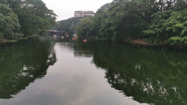 IMG_20240608_162401.jpg