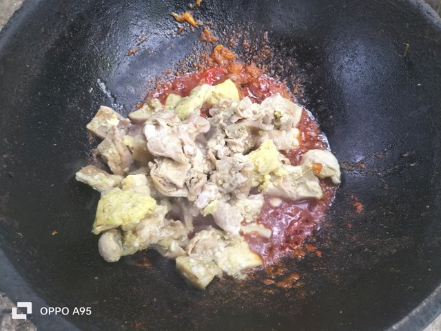 IMG20250610105348.jpg
