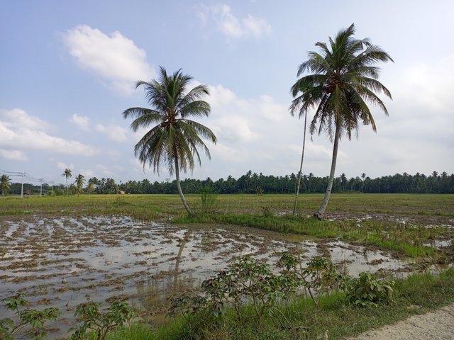 IMG_20211225_151922_940.jpg