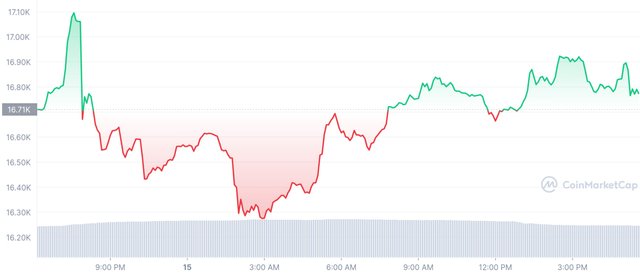 BTC_1D_graph_coinmarketcap (1).jpeg