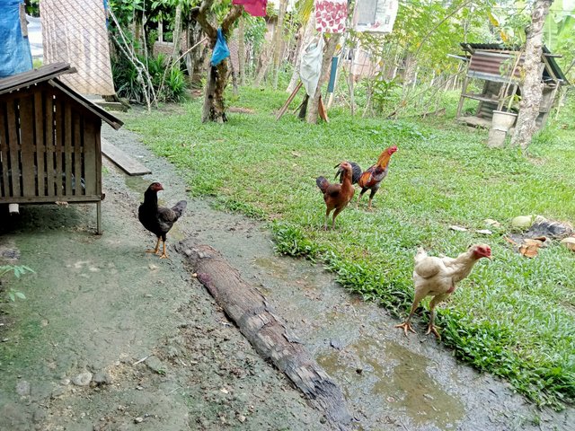 IMG20231024161401.jpg