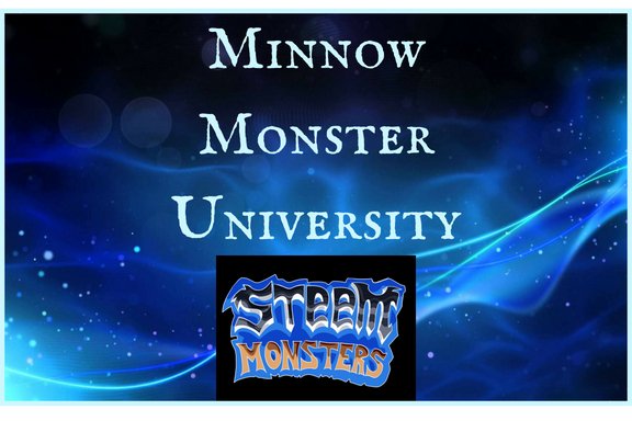 Minnow University (21).jpg